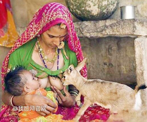 媽媽喂奶照片：一攝影師不經(jīng)意所拍《小鹿羔吃人奶》不限制的愛(ài)