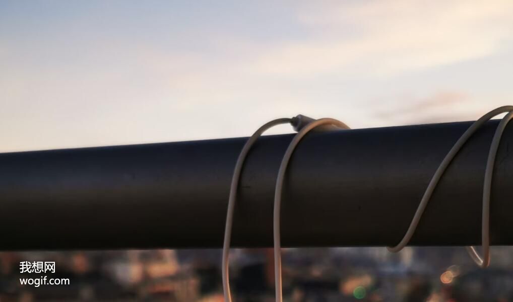 一輩子不結(jié)婚會怎么樣？5個預想結(jié)局，疼的我喘不上氣