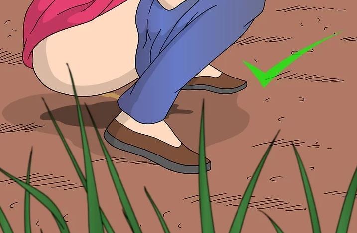 手把手教你戶外大小便，包括女生來(lái)例假