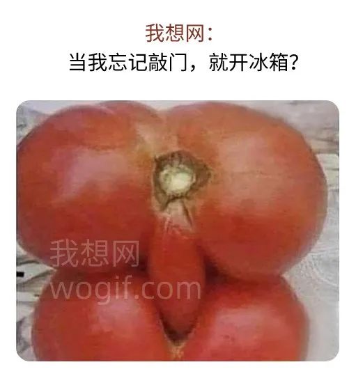 當(dāng)我開冰箱，忘記敲門，倆西紅柿干起來了...